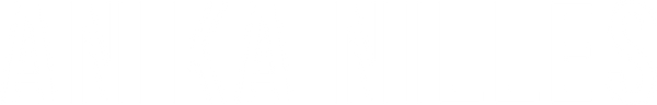 Anika Nilles logo